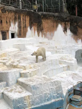 天王寺動物園に投稿された画像（2023/11/16）