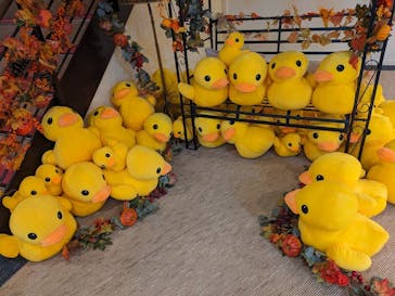 横浜天然温泉 SPA EASに投稿された画像（2023/11/16）