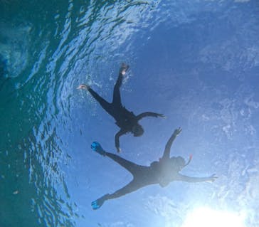 宮古島 ADVENTURE PiPi（ミヤコジマ アドベンチャー ピピ）に投稿された画像（2023/11/16）