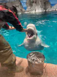 名古屋港水族館に投稿された画像（2023/11/16）