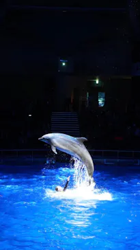 マクセル アクアパーク品川に投稿された画像（2023/11/16）