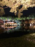 国営昭和記念公園 秋の夜散歩に投稿された画像（2023/11/17）