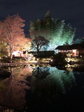 国営昭和記念公園 秋の夜散歩に投稿された画像（2023/11/16）