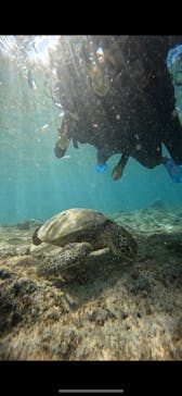 宮古島 ADVENTURE PiPi（ミヤコジマ アドベンチャー ピピ）に投稿された画像（2023/11/16）