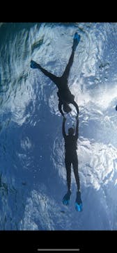 宮古島 ADVENTURE PiPi（ミヤコジマ アドベンチャー ピピ）に投稿された画像（2023/11/16）