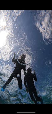 宮古島 ADVENTURE PiPi（ミヤコジマ アドベンチャー ピピ）に投稿された画像（2023/11/16）