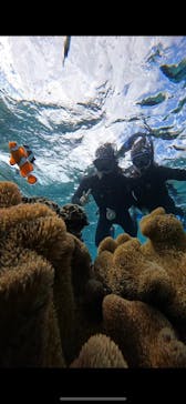 宮古島 ADVENTURE PiPi（ミヤコジマ アドベンチャー ピピ）に投稿された画像（2023/11/16）