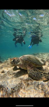 宮古島 ADVENTURE PiPi（ミヤコジマ アドベンチャー ピピ）に投稿された画像（2023/11/16）