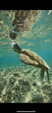 宮古島 ADVENTURE PiPi（ミヤコジマ アドベンチャー ピピ）に投稿された画像（2023/11/16）