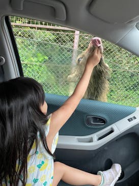 東北サファリパークに投稿された画像（2023/11/16）