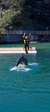 下田海中水族館に投稿された画像（2023/11/16）