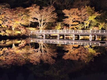 国営昭和記念公園 秋の夜散歩に投稿された画像（2023/11/16）