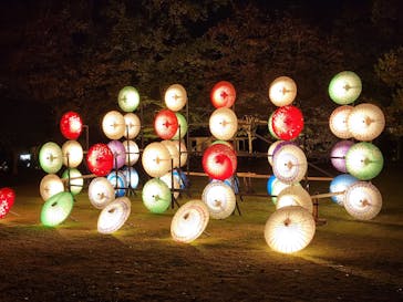 国営昭和記念公園 秋の夜散歩に投稿された画像（2023/11/16）