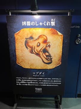 サンシャイン水族館に投稿された画像（2023/11/16）