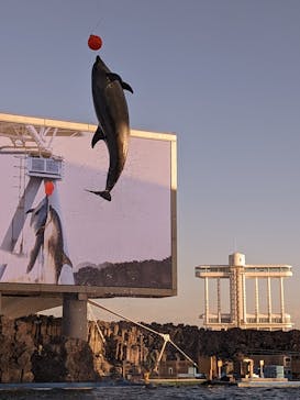 名古屋港水族館に投稿された画像（2023/11/17）