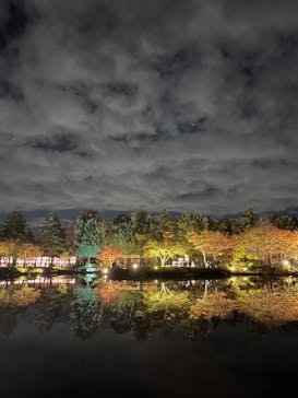 国営昭和記念公園 秋の夜散歩に投稿された画像（2023/11/17）