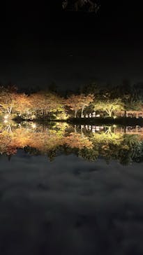 国営昭和記念公園 秋の夜散歩に投稿された画像（2023/11/17）