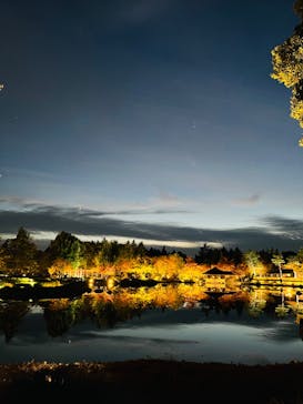 国営昭和記念公園 秋の夜散歩に投稿された画像（2023/11/17）