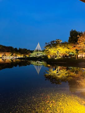 国営昭和記念公園 秋の夜散歩に投稿された画像（2023/11/17）