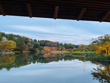 国営昭和記念公園 秋の夜散歩に投稿された画像（2023/11/17）