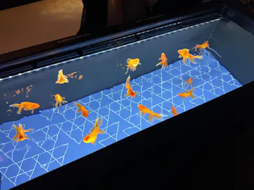 すみだ水族館に投稿された画像（2023/11/17）