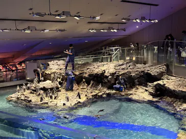 すみだ水族館に投稿された画像（2023/11/17）