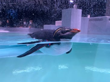 AOAO SAPPOROに投稿された画像（2023/11/17）