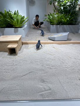 AOAO SAPPOROに投稿された画像（2023/11/17）