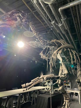 AOAO SAPPOROに投稿された画像（2023/11/17）