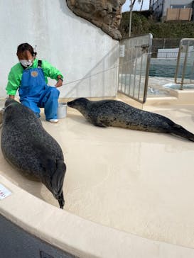 越前松島水族館に投稿された画像（2023/11/17）