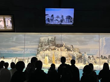 名古屋港水族館に投稿された画像（2023/11/17）