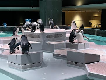 AOAO SAPPOROに投稿された画像（2023/11/17）