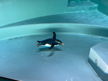 AOAO SAPPOROに投稿された画像（2023/11/17）