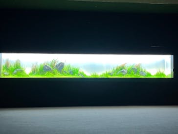 AOAO SAPPOROに投稿された画像（2023/11/17）