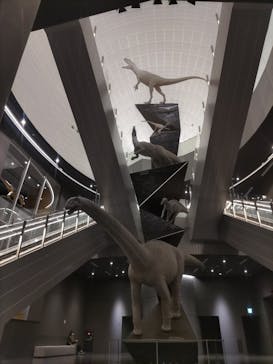 福井県立恐竜博物館に投稿された画像（2023/11/17）