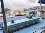 越前松島水族館に投稿された画像（2023/11/17）