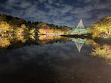 国営昭和記念公園 秋の夜散歩に投稿された画像（2023/11/17）