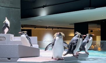 AOAO SAPPOROに投稿された画像（2023/11/17）