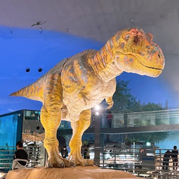 福井県立恐竜博物館に投稿された画像（2023/11/17）