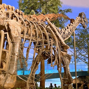 福井県立恐竜博物館に投稿された画像（2023/11/17）