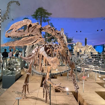 福井県立恐竜博物館に投稿された画像（2023/11/17）