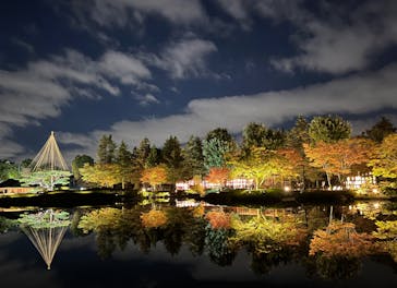 国営昭和記念公園 秋の夜散歩に投稿された画像（2023/11/17）