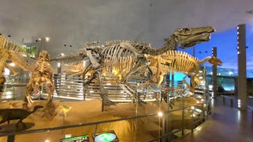 福井県立恐竜博物館に投稿された画像（2023/11/17）