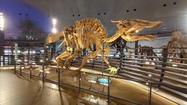 福井県立恐竜博物館に投稿された画像（2023/11/17）