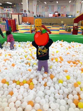 東京あそびマーレに投稿された画像（2023/11/17）