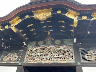 京都市観光協会（催行運営：株式会社らくたび）に投稿された画像（2023/11/17）