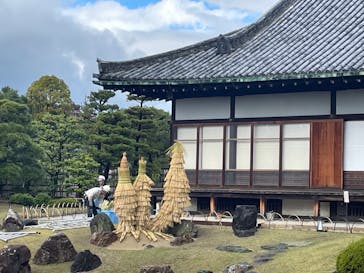 京都市観光協会（催行運営：株式会社らくたび）に投稿された画像（2023/11/17）