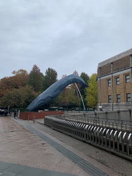 国立科学博物館に投稿された画像（2023/11/17）