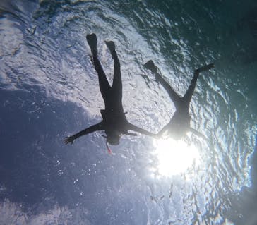 宮古島 ADVENTURE PiPi（ミヤコジマ アドベンチャー ピピ）に投稿された画像（2023/11/17）