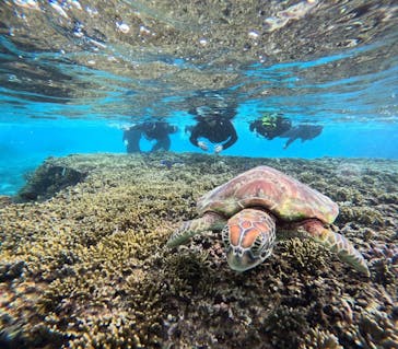 宮古島 ADVENTURE PiPi（ミヤコジマ アドベンチャー ピピ）に投稿された画像（2023/11/17）